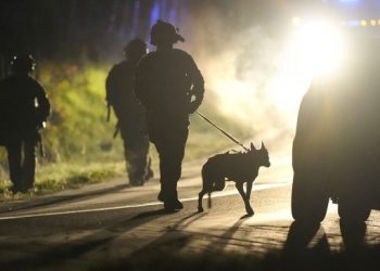 Babai hero sakrifikon jetën për të shpëtuar djalin 4-vjeçar nga mbytja në liqen