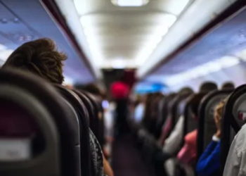 Momente tmerri në avion, shihni gjarprin mbi kokat e pasagjerëve (VIDEO)