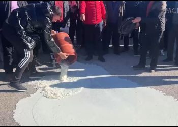 Qumështi derdhet në rrugë, 4 pika të panegociueshme të blegtorëve në jug (VIDEO)