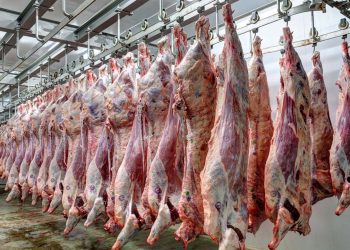 Rekord i zi, Shqipëria importoi vitin e kaluar 77 milionë euro mish nga jashtë vendit