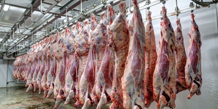 Rekord i zi, Shqipëria importoi vitin e kaluar 77 milionë euro mish nga jashtë vendit