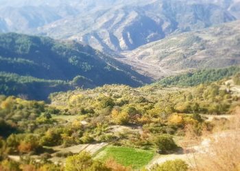 Ndërtoi pa leje në fshatin Gllavë të Memaliajt, policia e procedon penalisht