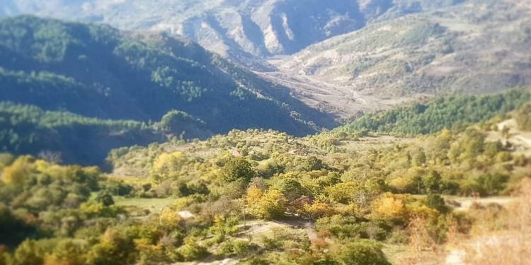 Ndërtoi pa leje në fshatin Gllavë të Memaliajt, policia e procedon penalisht