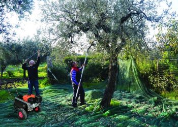 S’ka më shqiptarë për të punuar, Greqia kërkon punëtorë në Indi