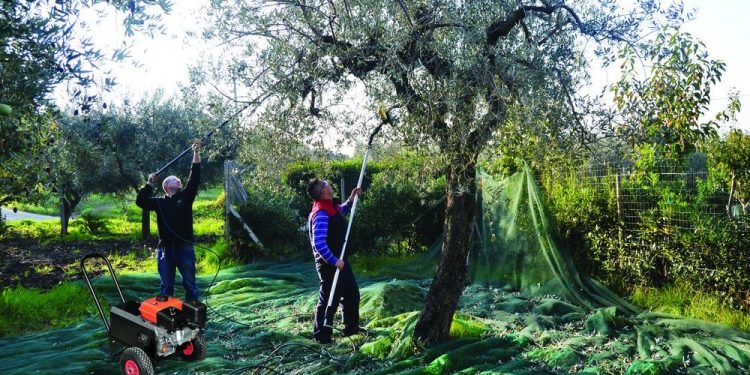 S’ka më shqiptarë për të punuar, Greqia kërkon punëtorë në Indi