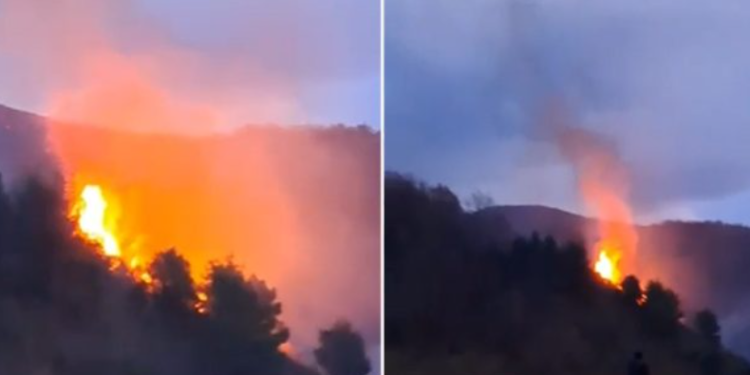 Zjarr në Fier dhe Memaliaj, banesat rrezikohen nga flakët