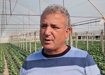 Shqipëria po zbrazet, fermeri: Dua të shtoj sipërfaqet me serra, por s’kam punëtorë (VIDEO)