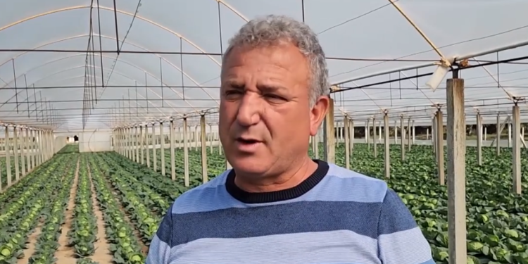 Shqipëria po zbrazet, fermeri: Dua të shtoj sipërfaqet me serra, por s’kam punëtorë (VIDEO)