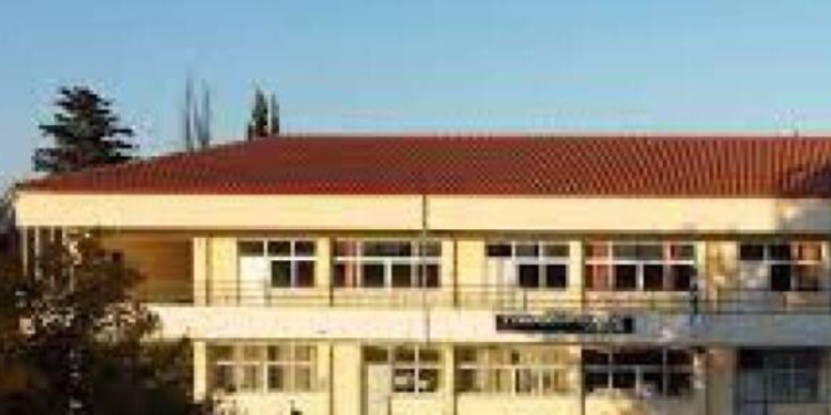 Nxënësi ngre flamurin shqiptar në shkollën greke, bëhet problem dhe e çojnë në drejtori