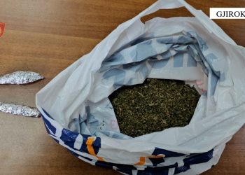 Shiste kanabis pranë shkollave, arrestohet 41-vjeçari në Gjirokastër