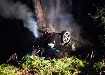 Tragjike në Itali, shuhen në aksident dy të rinj shqiptarë/ Trupat e tyre digjen brenda “BMW” së vjedhur