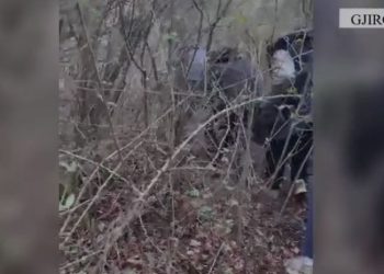 Dy të arrestuar në Gjirokastër,  një në kërkim: Trafikonin klandestinë nga India