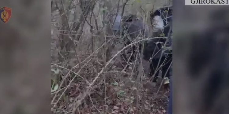 Dy të arrestuar në Gjirokastër,  një në kërkim: Trafikonin klandestinë nga India