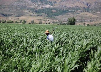 Po na mbysin importet