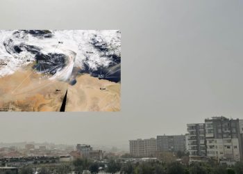 Si pluhuri afrikan “pushtoi” Shqipërinë (FOTO)