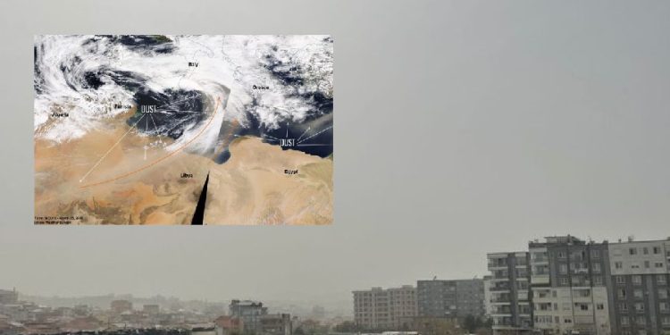 Si pluhuri afrikan “pushtoi” Shqipërinë (FOTO)