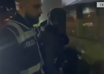 Kapen me kanabis, një i arrestuar në Tepelenë, një tjetër procedohet në gjendje të lire (VIDEO)