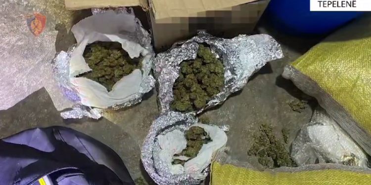 Tepelenë, lokali shërbene kafe dhe kanabis, dy të arrestuar një në kërkim (VIDEO)