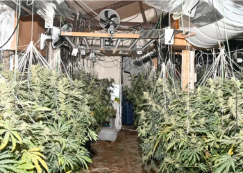 Kujdeseshin për “shtëpinë e barit” në Britani, burgosen dy shqiptarët (Emrat)