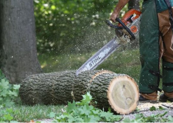 Shkoi për të prerë dru në mal, humb jetën 67-vjeçari