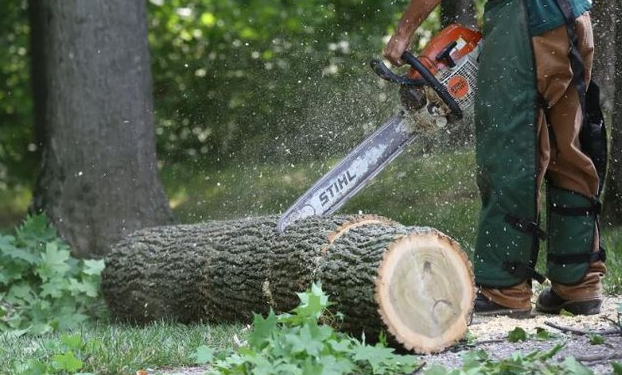 Shkoi për të prerë dru në mal, humb jetën 67-vjeçari