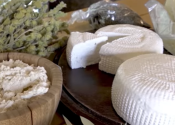 Shqipërisë i duhen 1.2 mld dollarë ushqime këtë vit, s’ka prodhim mjaftueshëm për turistët