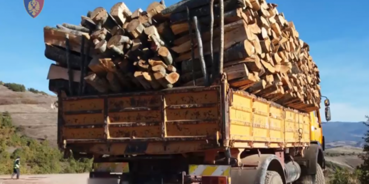 Përmet, kapen në flagrancë dy persona që transportonin dru zjarri