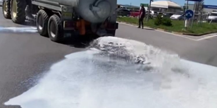 Qumështi mbulon autostradën, fermerët protesotjnë duke derdhur prodhimin: Fabrikat kanë bërë marrëveshje të fshehtë, shteti nuk na mbron