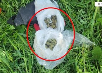 Iu gjetën doza kanabisi gati për shitje, arrestohet 25-vjeçari