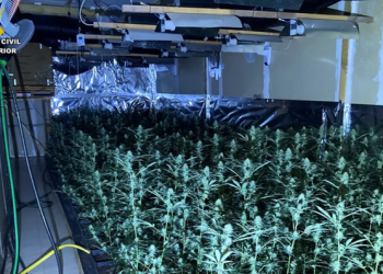 Zbulohet ferma me 2400 rrënjë kanabisi, arrestohet shqiptari në Spanjë