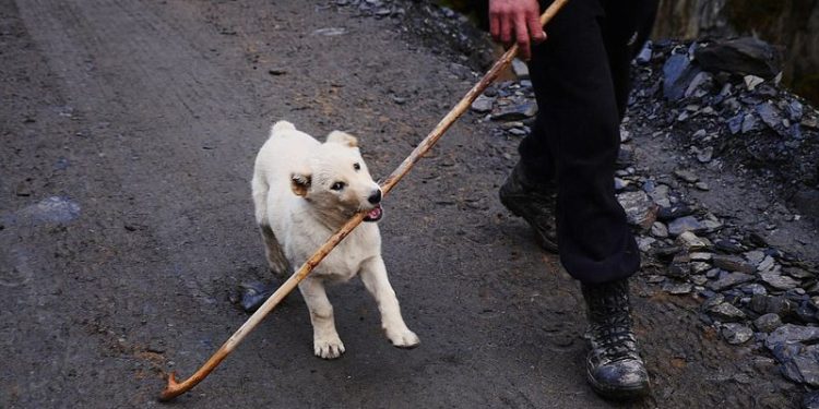 Blegtori 69-vjeçar rrëfen vështirësitë: Fëmijët i kam në Greqi, punoj me gruan