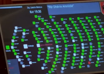 Kush ishte deputeti i vetëm që votoi kundër amnistisë