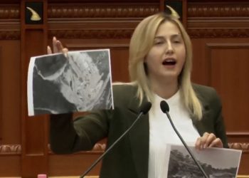 Zhupa- Kumbaros: Shqetësimi juaj është të ndërtoni resorte e vila për oligarkët