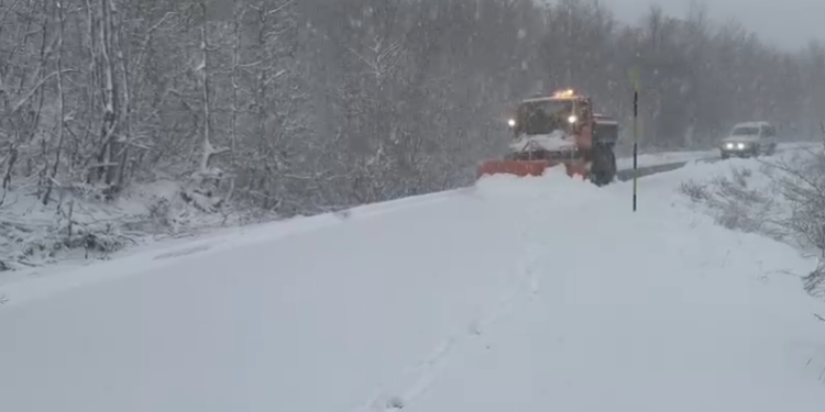 Dimër në pranverë, dëbora vesh me të “bardha” veriun e Shqipërisë