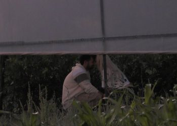 Aktori nga Saranda puthet te “Ferma Vip”: E bëra për lojë!