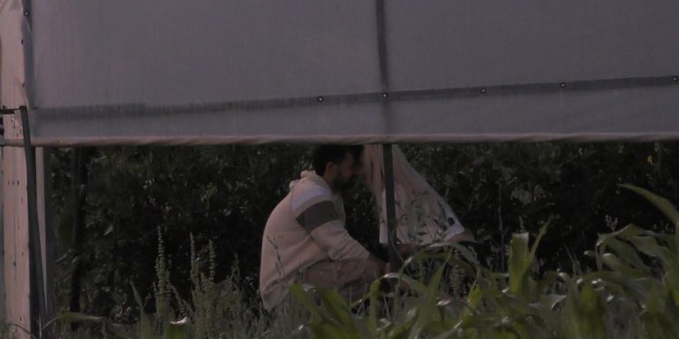 Aktori nga Saranda puthet te “Ferma Vip”: E bëra për lojë!