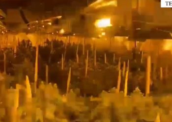 Dalin pamjet e “shtëpisë së barit” në Veliqot, shpallen në kërkim dy të rinj nga Tepelena e Saranda (VIDEO)