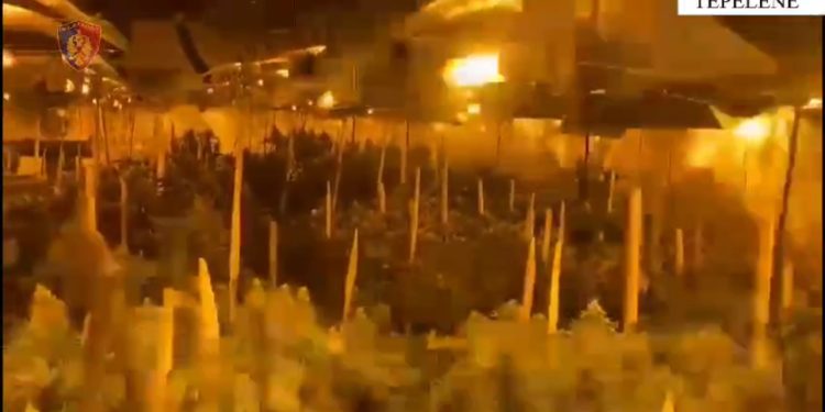 Dalin pamjet e “shtëpisë së barit” në Veliqot, shpallen në kërkim dy të rinj nga Tepelena e Saranda (VIDEO)