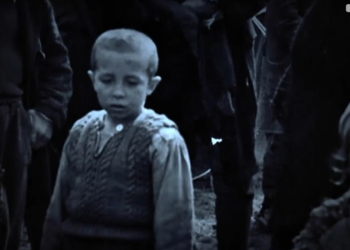 I mbijetuari: Trupi i nënës u copëtua nga kafshët e grekëve, në Paramithi helmuan dhjetëra fëmijë (VIDEO)