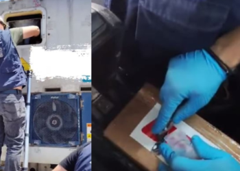 Greqi, kapen 46 kg kokainë e fshehur në banane (VIDEO)