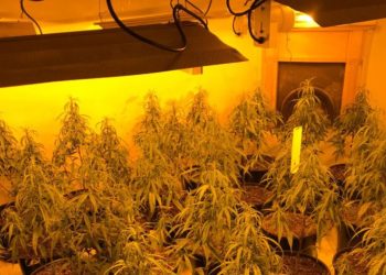 “Shtëpia e barit” në Tepelenë, 4 të shoqëruar nga policia