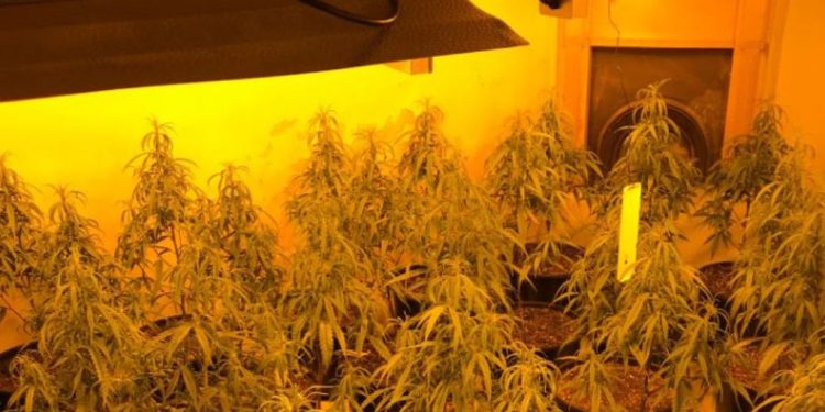 “Shtëpia e barit” në Tepelenë, 4 të shoqëruar nga policia