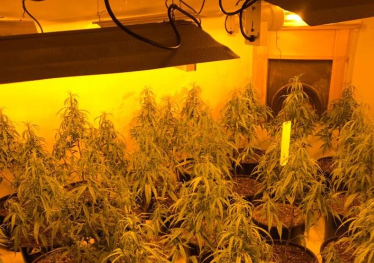 “Shtëpia e barit” në Tepelenë, 4 të shoqëruar nga policia