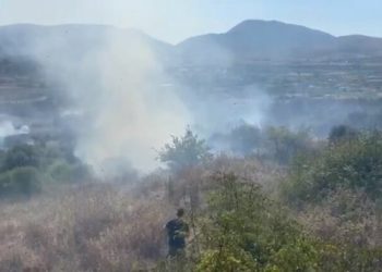 Zjarr në fshatin Vllahat të Delvinës, digjen ullishtete
