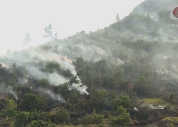 Të gjitha të qëllimshme, kush i vë zjarret në bregdet gjatë sezonit veror?!