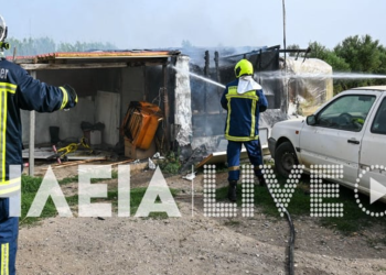 11-vjeçarja në Greqi përcillet në banesën e fundit, shtëpisë së dajës vrasës i vihet flaka