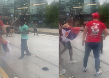 Thirrjet raciste, i riu me ngjyrë “zhdëp” në dru fitozët serbë (VIDEO)