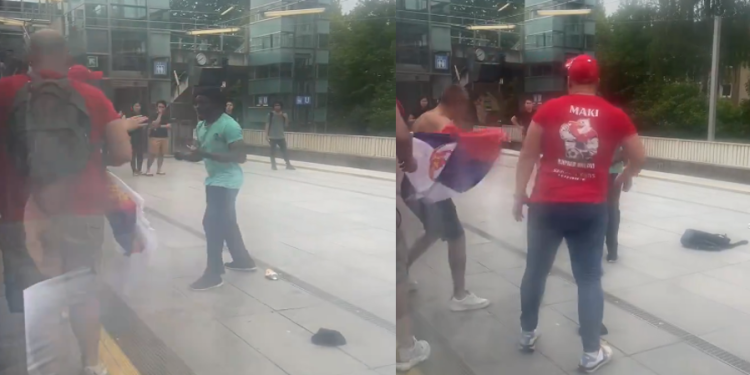 Thirrjet raciste, i riu me ngjyrë “zhdëp” në dru fitozët serbë (VIDEO)