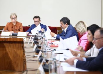 Komisioni për Dizinformimin, Çuçi: Nuk duhet parë si pjesë e luftës partiake e as është kundër lirisë së medias