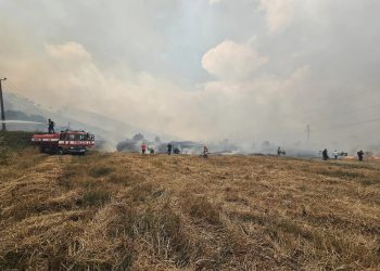Niko Peleshi: Zjarri në Dropull dhe Finiq është vënë nën kontroll, nuk rrezikojnë më banesat